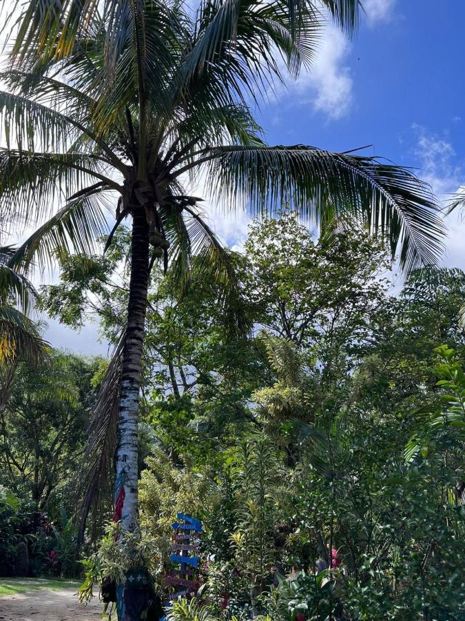 Recanto Da Vera Ilhabela Eksteriør bilde